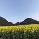 曲靖旅游 缩略图 12