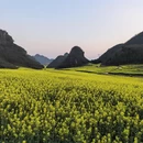 曲靖旅游 缩略图 13
