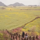 曲靖旅游 缩略图 9