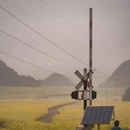 曲靖旅游 缩略图 12
