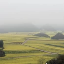 曲靖旅游 缩略图 2