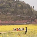 曲靖旅游 缩略图 10