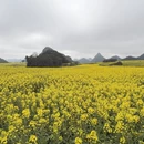曲靖旅游 缩略图 3