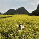 大理州旅游 缩略图 14