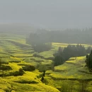 大理州旅游 缩略图 12