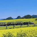 昆明旅游 缩略图 3