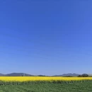 昆明旅游 缩略图 3
