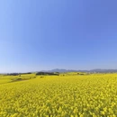 昆明旅游 缩略图 2