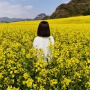 昭通旅游 缩略图 2