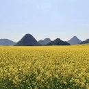 昭通旅游 缩略图 7