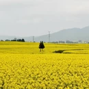 昭通旅游 缩略图 12