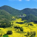 昆明旅游 缩略图 1
