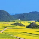昆明旅游 缩略图 7