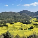 昆明旅游 缩略图 2