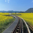 昆明旅游 缩略图 5