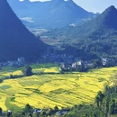 昆明旅游 缩略图 4