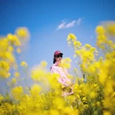 昆明旅游 缩略图 2