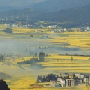 曲靖旅游 缩略图 1