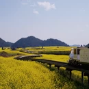 昆明旅游 缩略图 6
