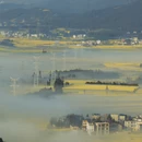 曲靖旅游 缩略图 8