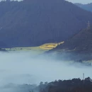 曲靖旅游 缩略图 10