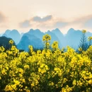 黔西南旅游 缩略图 7