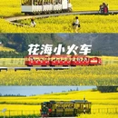 昆明旅游 缩略图 5