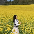 昆明旅游 缩略图 1