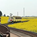 昆明旅游 缩略图 6
