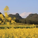 昆明旅游 缩略图 5