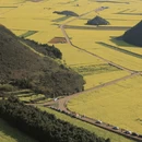 昆明旅游 缩略图 10