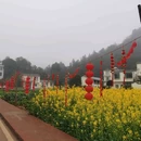 曲靖旅游 缩略图 4