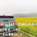 曲靖旅游 缩略图 5