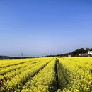 曲靖旅游 缩略图 8