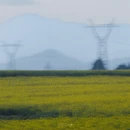 曲靖旅游 缩略图 5
