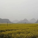 曲靖旅游 缩略图 12