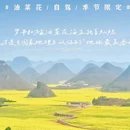 曲靖旅游 缩略图 7
