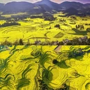 曲靖旅游 缩略图 4