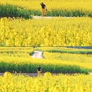 曲靖旅游 缩略图 7