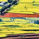 曲靖旅游 缩略图 8