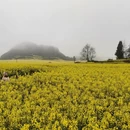昆明旅游 缩略图 5