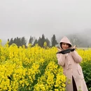 昆明旅游 缩略图 2