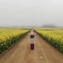昆明旅游 缩略图 4
