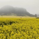 昆明旅游 缩略图 10