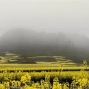 昆明旅游 缩略图 3