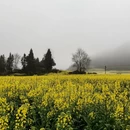 昆明旅游 缩略图 11