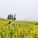 昆明旅游 缩略图 8
