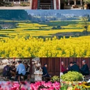 昆明旅游 缩略图 1