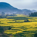 昆明旅游 缩略图 4