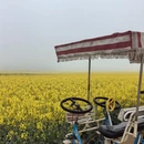 昆明旅游 缩略图 16
